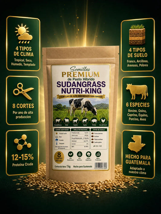 Semillas PREMIUM de Pasto Hibrido Sudangrass Nutri-King